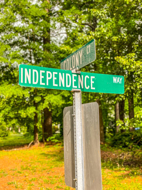 istock Road Sign - Independence Way 1315726198