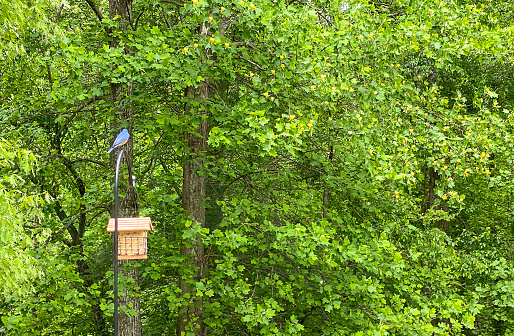 Picture of a Birdhouse hanging against a live oak tree background.