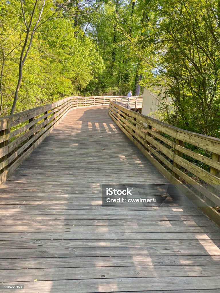 Woooden Walkway in Woodstock, Georgia An evening stroll in Woodstock, Georgia came with a wooden walkway. This walkway allowed pedestrians and bicyclists to travel across the swampy land. Above Stock Photo