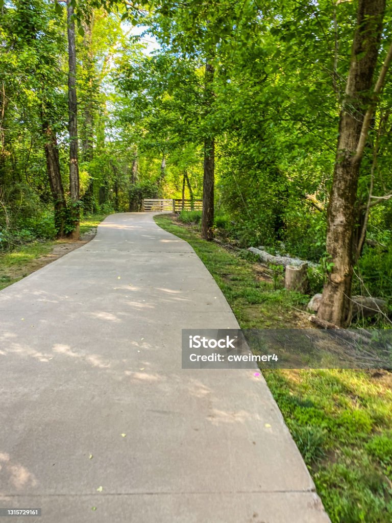 Empty Walkway With Curve An empty pathway that leads through the forest makes for an inviting scene. Backgrounds Stock Photo