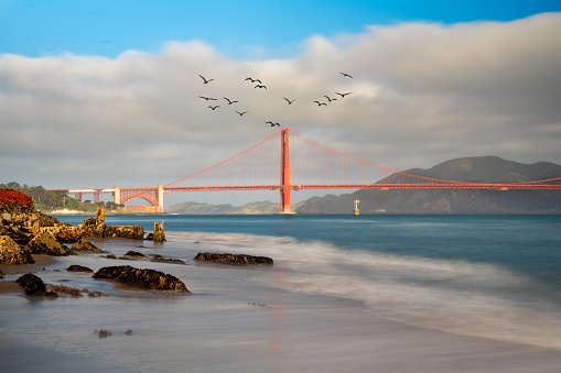 Clouds behind the Golden Gate Bridge with birds flying overhead. View of the bridge looking down the cloudy smooth  sandy beach. Long exposure shot.