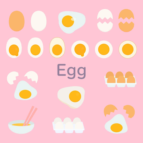 심플하고 귀여운 달걀 클립 아트 세트, 플랫 디자인 - white background brown animal egg ellipse stock illustrations