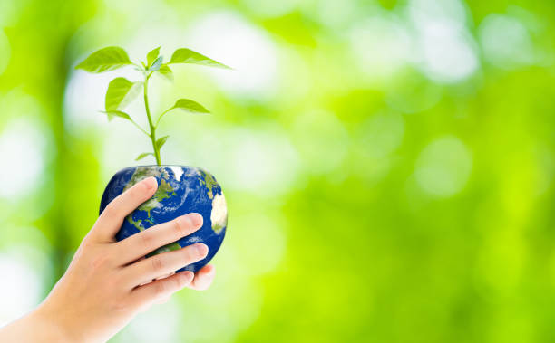 Woman holding a plant pot like planet earth. Environment protection concept. Sustainable development goals. SDGs. Woman holding a plant pot like planet earth. Environment protection concept. Sustainable development goals. SDGs.
Elements of this image furnished by NASA (url:https://earthobservatory.nasa.gov/blogs/elegantfigures/wp-content/uploads/sites/4/2011/10/land_shallow_topo_2011_8192.jpg) carbon neutrality photos stock pictures, royalty-free photos & images