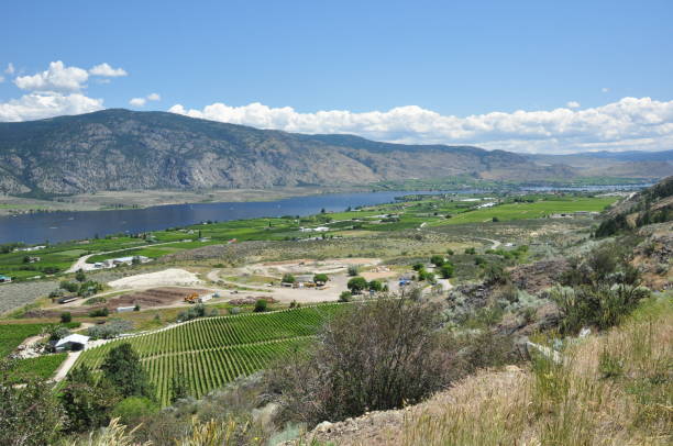 istock Okanagan Valley, British Columbia 1315758841