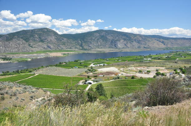istock Okanagan Valley, British Columbia 1315758896