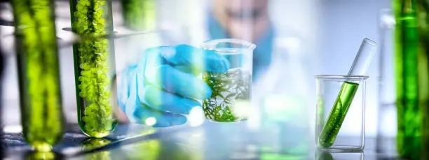 Photobioreactor in medical science laboratory algae fuel biofuel industry, nature algal research, energy and healthcare treatment biotechnology, coronavirus covid-19 vaccine, eco living sustainable"t