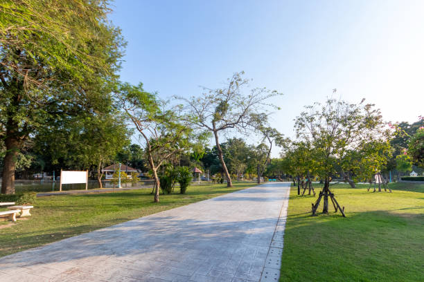istock Park pathways and green lawn 1315785403
