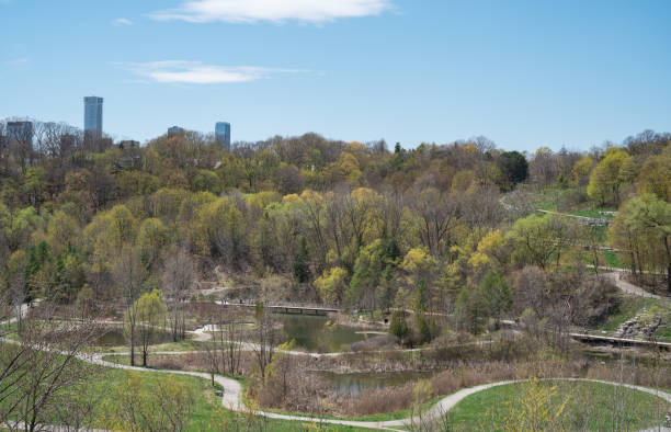 istock Don Valley Brick Works Park on a suuny day in Spring 1315801098