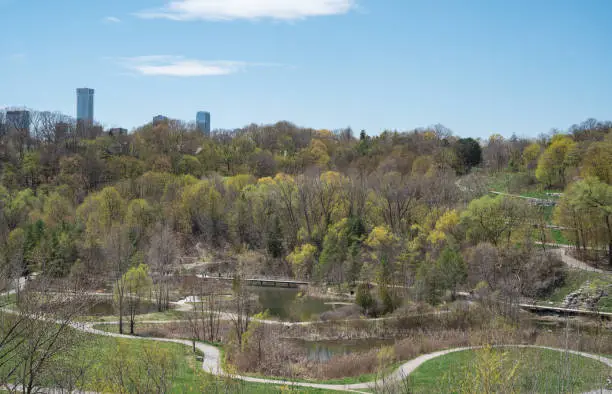 Don Valley Brick Works Park on a suuny day in Spring