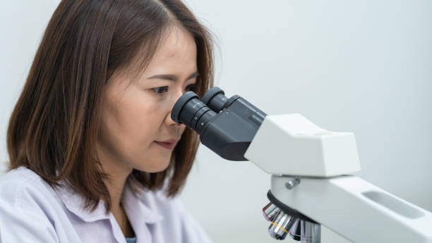 istock A young scientist woman in a laboratory coat looking through a microscope in a laboratory to do research and experiment. Scientist working in a laboratory. Education stock photo 1315801680