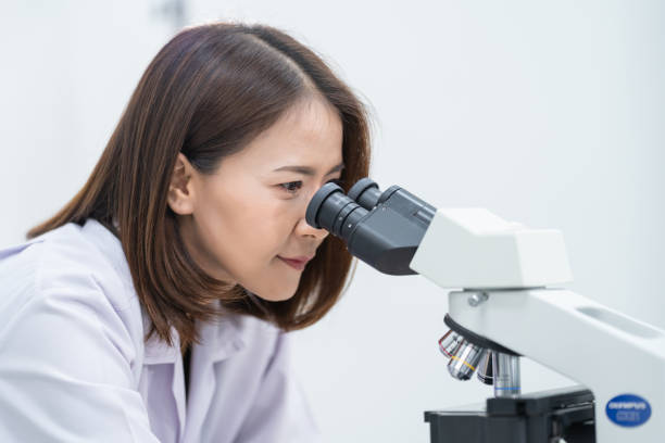 istock A young scientist woman in a laboratory coat looking through a microscope in a laboratory to do research and experiment. Scientist working in a laboratory. Education stock photo 1315803461