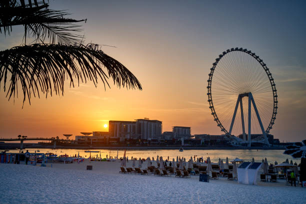 istock palm trees grow against the blue sky in Dubai 1315803822