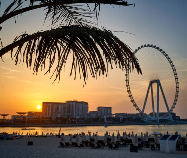 istock palm trees grow against the blue sky 1315804243