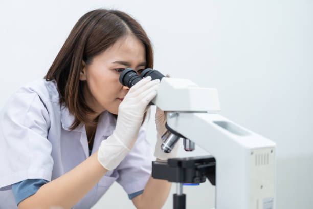 istock A young scientist woman in a laboratory coat looking through a microscope in a laboratory to do research and experiment. Scientist working in a laboratory. Education stock photo 1315804337