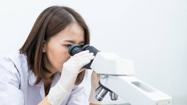 istock A young scientist woman in a laboratory coat looking through a microscope in a laboratory to do research and experiment. Scientist working in a laboratory. Education stock photo 1315804851