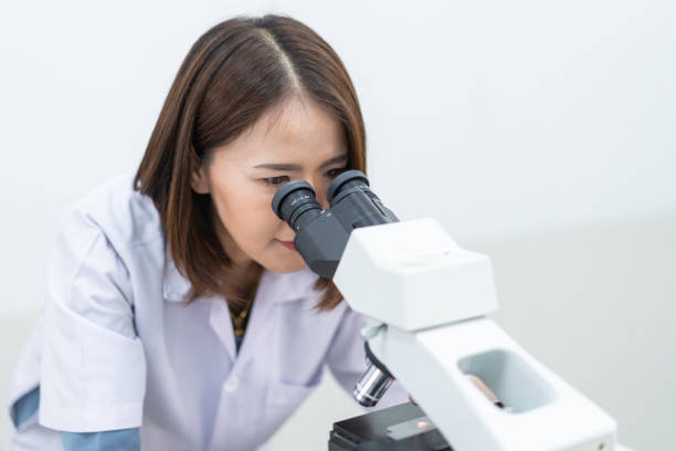 istock A young scientist woman in a laboratory coat looking through a microscope in a laboratory to do research and experiment. Scientist working in a laboratory. Education stock photo 1315805527