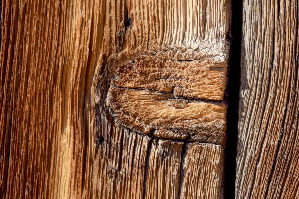 tabla de madera desgastada por el clima, primer plano - brown curve knotted wood striped fotografías e imágenes de stock