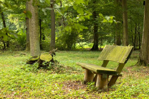 Forest cemetery for natural tree burial.\nNatural grave, burial in the forest. Bienwaldruhe, Kandel, Rhineland-Palatinate, Germany
