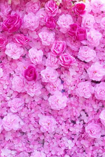 istock Artificial pink blossom decorative on wall background 1315810411
