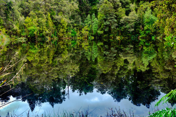 Mirror Tarn, Kahurangi National Park