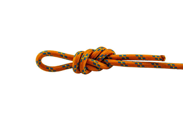 istock figure of eight knot orange rope example, transparent background 1315824438