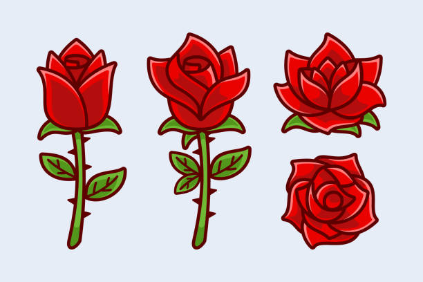 Collection of Cartoon Bloom Rose Flower Collection of Cartoon Bloom Rose Flower Romance rose cartoon stock illustrations
