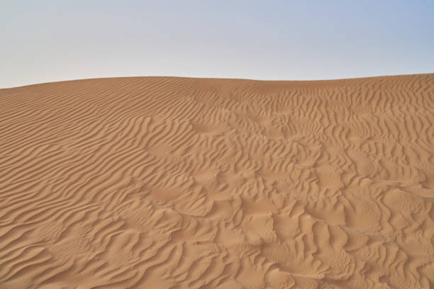 beautiful sand patterns in the Abu Dhabi desert
