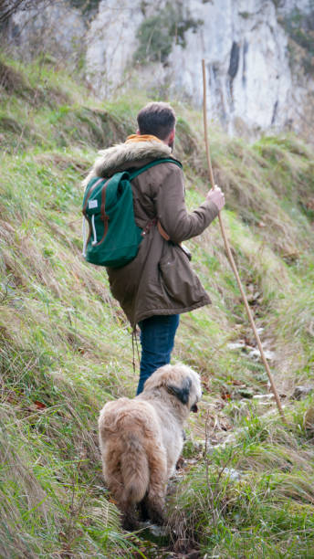 istock Young man and dog in the mountains 1315838260