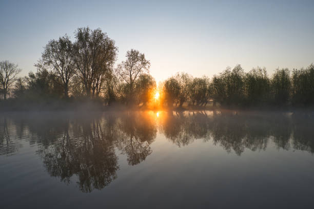 istock Horizontal view on small river Linge during sunrise in spring with trees and willows on the horizon, morning haze and reflections on the water. 1315840886