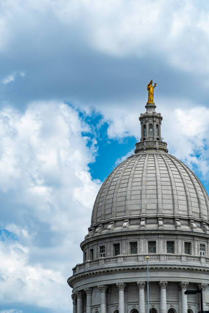 istock Wisconsin State Capitol Building - Madison, WI 1315841946