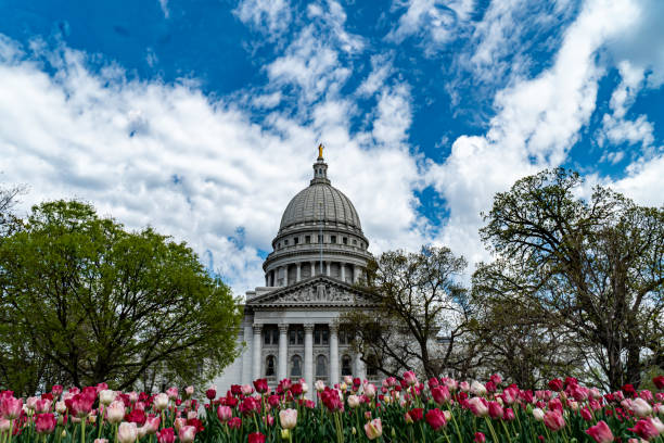 istock Wisconsin State Capitol Building - Madison, WI 1315841989