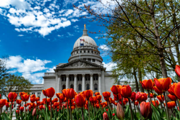istock Wisconsin State Capitol Building - Madison, WI 1315842248