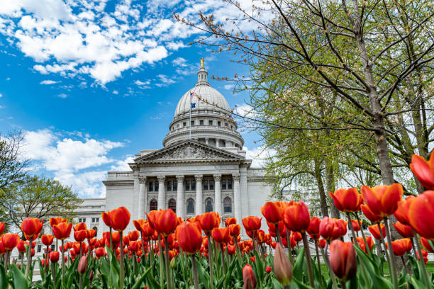 istock Wisconsin State Capitol Building - Madison, WI 1315842255