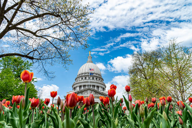 istock Wisconsin State Capitol Building - Madison, WI 1315842264