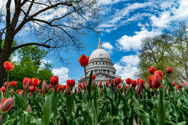 istock Wisconsin State Capitol Building - Madison, WI 1315842269