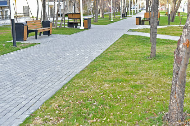 istock Paved park paths in the city garden with trees 1315845738