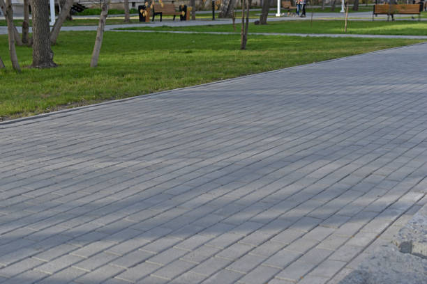 istock Paved park paths in the city garden with trees 1315845897