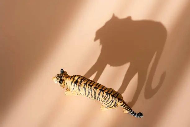 Photo of Tiger symbol of the Chinese new year 2022. Figurine of tiger isolated on pastel background with shadows. Copy space.