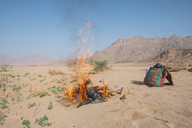 istock Barren desert landscape in hot climate with campfire 1315848072