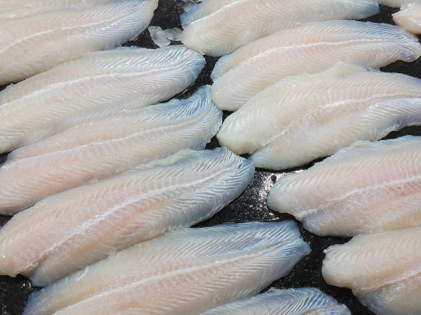 fillet dory fish ready for sale in seafood market - dory imagens e fotografias de stock