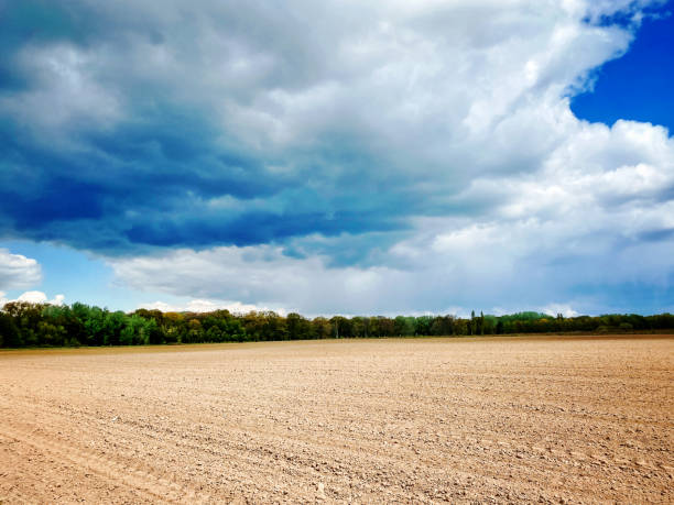 istock Ominous sky over the agricultural field 1315850431