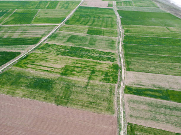 istock Photos of green fields from the hill with drone. 1315850515