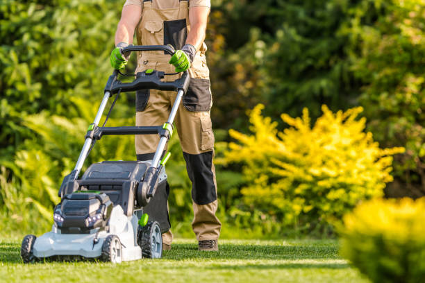 istock Garden Worker with Lawnmower Cutting Grass 1315857493