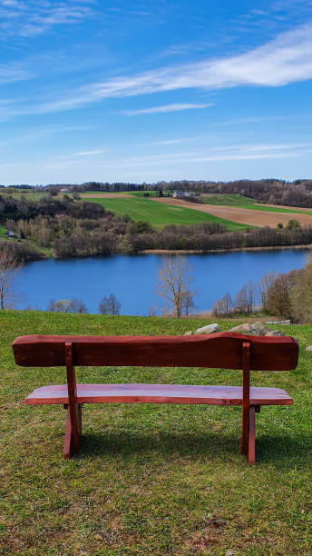 istock Empty wooden bench overlooking the lake, Kashubia, Poland 1315858099