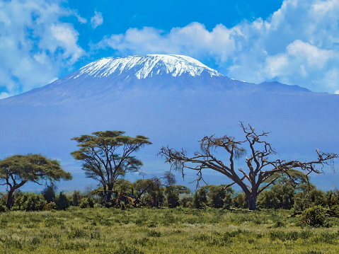 Landscape setting with a view of Mount Kilimanjaro, Tanzania