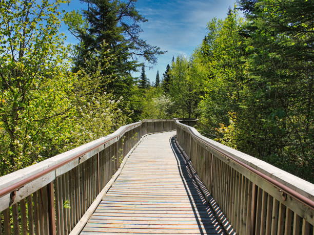 istock Ouimet Canyon Provincial Park 1315859347