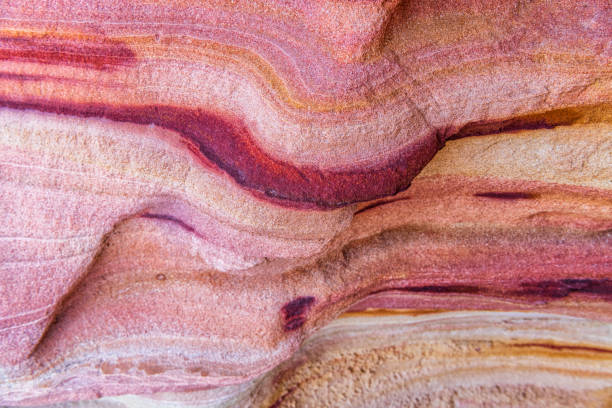 colorato primo-up rock a coyote buttes south in arizona - roccia sedimentaria foto e immagini stock