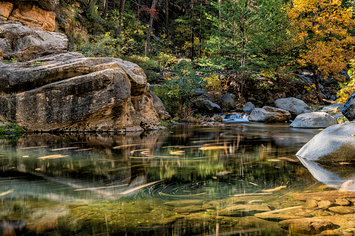 Fall colors over Oak Creek outside Sedona, Arizona with water flowing around rocks.