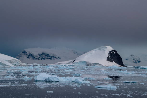 istock On a cloudy day with low, almost purple clouds, brash ice floats on mirrorlike seas in front of snow-covered islands 1315860890