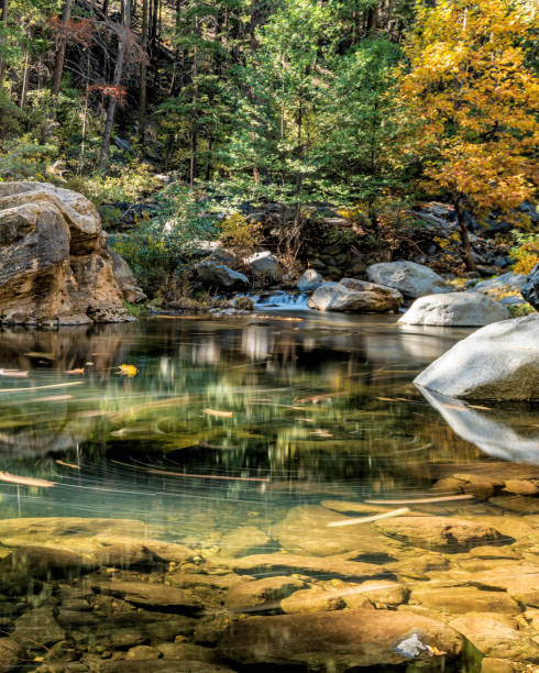 istock Fall in Oak Creek Outside Sedona, Arizona 1315860916